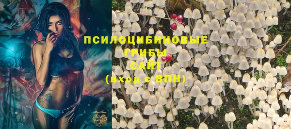 прущая мука Новодвинск