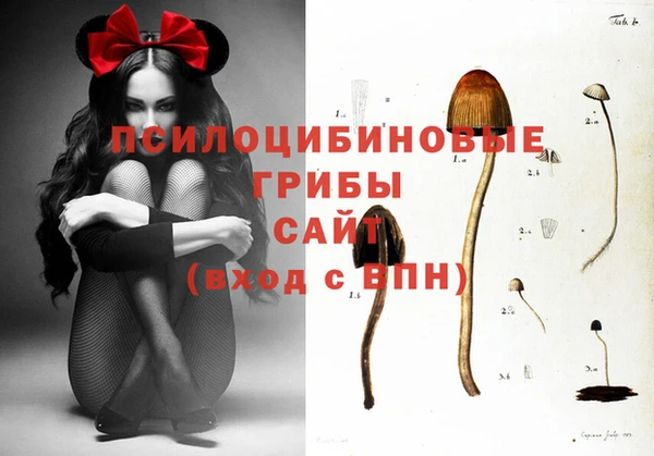 амф Новокубанск