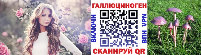Псилоцибиновые грибы мухоморы как найти Барабинск